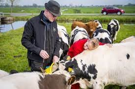 Boer Jasper2