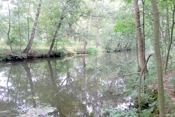 helenavaard noordzijde 2015 mrt 25.jpg