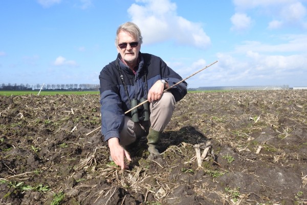 vinder 1e kievitsei 2017.JPG