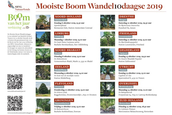 Flyer Wandel10daagse.jpg