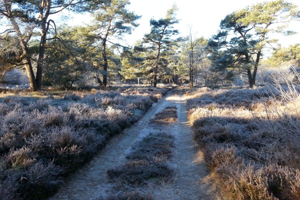 Huis op de bergen 1.jpg