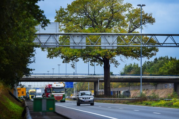 A58 troetel eik-1818.jpg