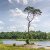 FR Boom Friesland Rob Visser Photography SMALL.jpg