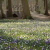 _DSC0001 SMALL.jpg
