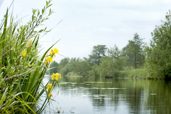 Kockengen-151.jpg