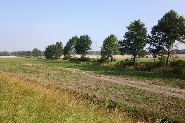 2015 spoordijk.jpg