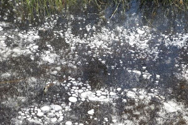 Winterfoto_MargrietPflug (5).JPG