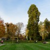 KM20251112-01 Boom van het Jaar Enschede 2.jpg