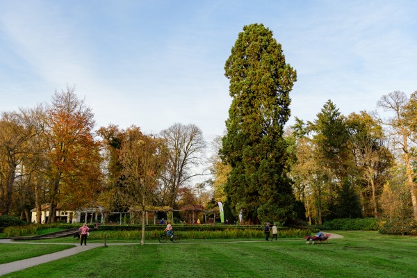 KM20251112-01 Boom van het Jaar Enschede 2.jpg