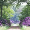 De Wiersse 2