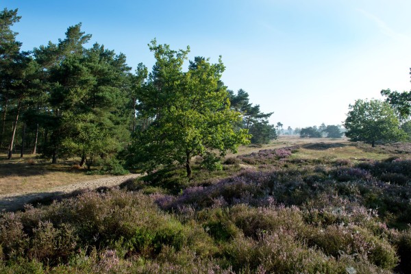 HuisopdeBergen_HM_DSC3389_web.jpg