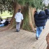 La Res Noord groep 5 en 6.jpeg