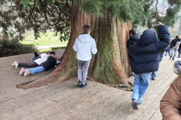 La Res Noord groep 5 en 6.jpeg