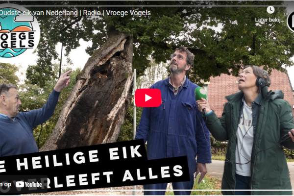 vroege vogels.png