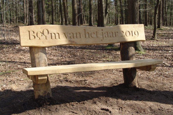 Boom van het jaar 2019-bank.JPG