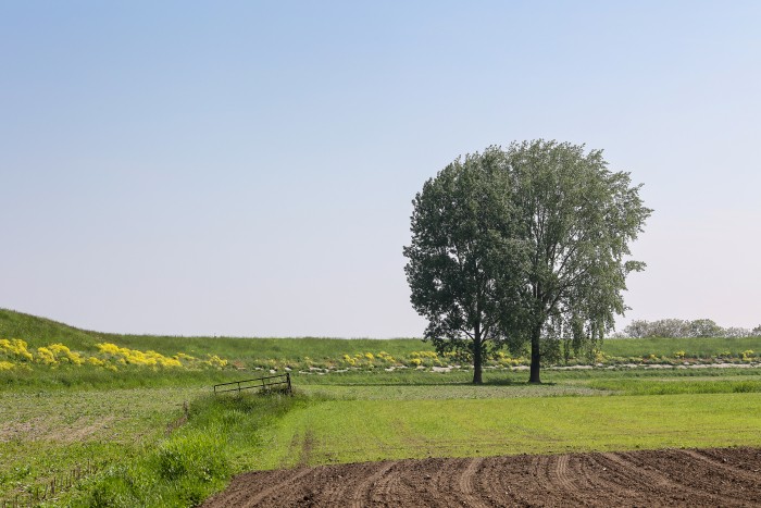 0E5A1838_Margriet Pflug_boerenland