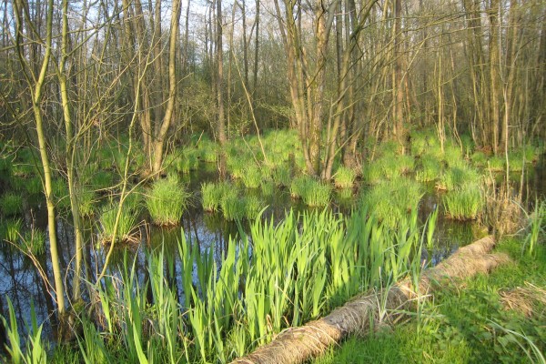 De Zumpe 2012-04-13