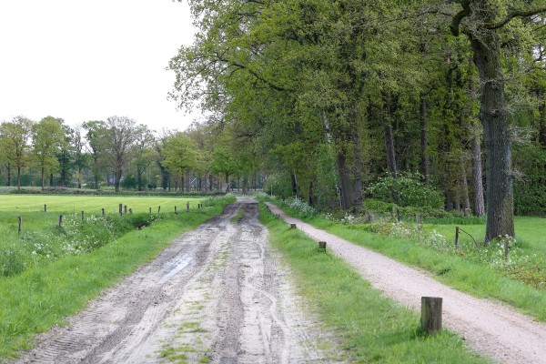 0E5A0980-zandweg_Margriet Pflug.jpg