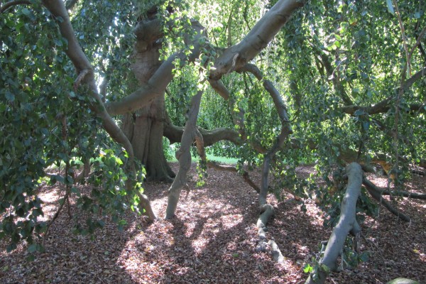 donateursdag-2016-Wouwse-Plantage-SL (28).JPG