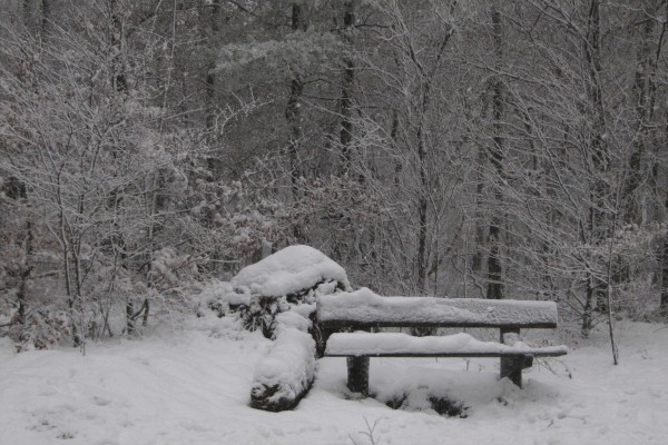 Leersum_12-2017_sneeuw_SL_IMG_4309 (21).JPG