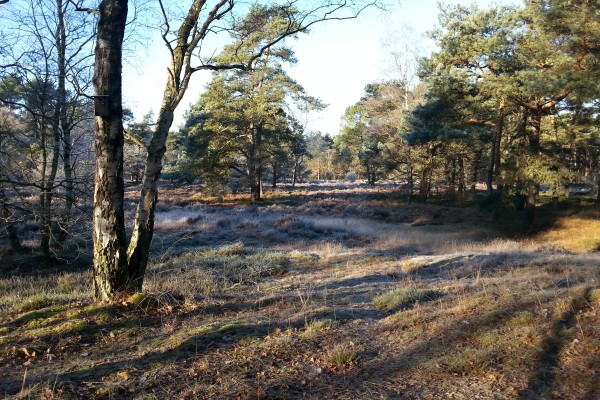 huis op de bergen 2.jpg